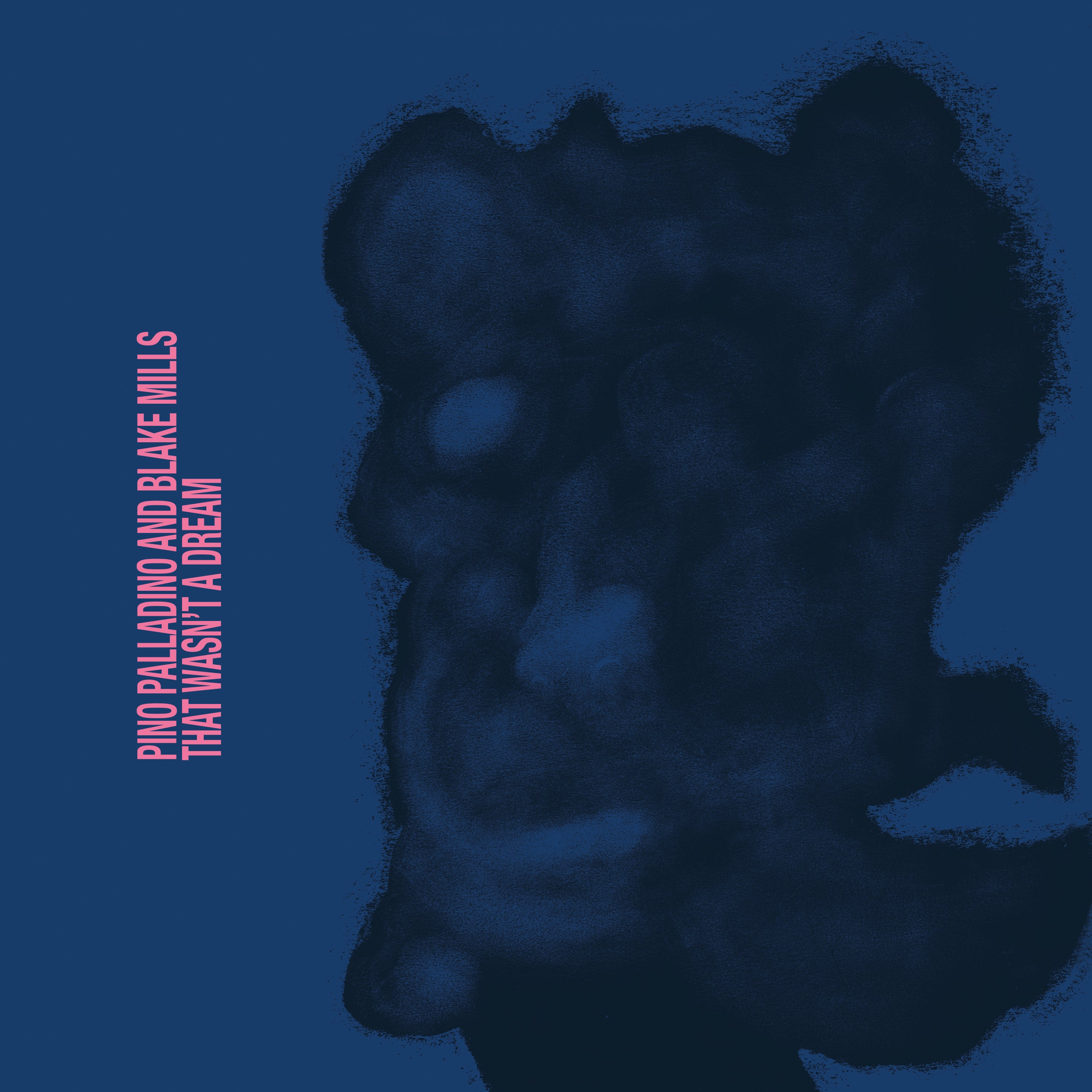 Pino Palladino, Blake Mills - That Wasn't a Dream (Vinyl)
